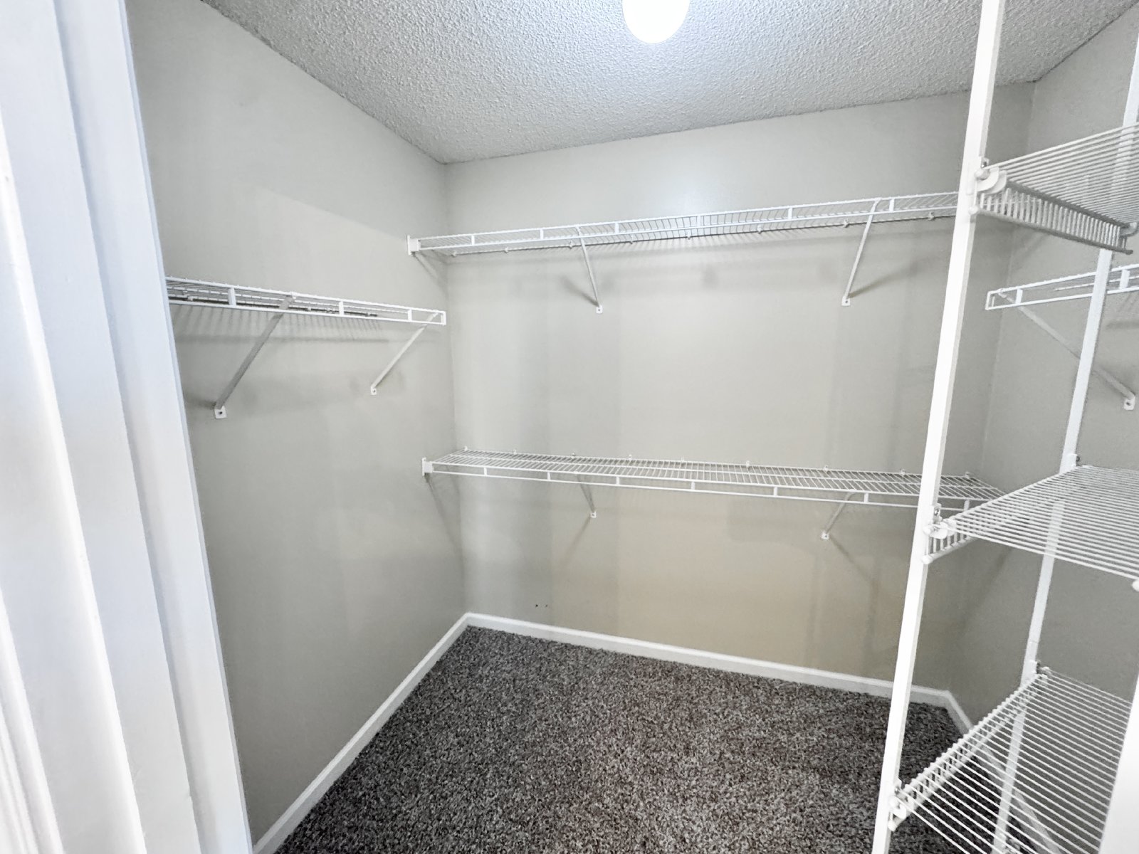 11230 Cashmere Wood Drive Arlington, TN 38002 property image