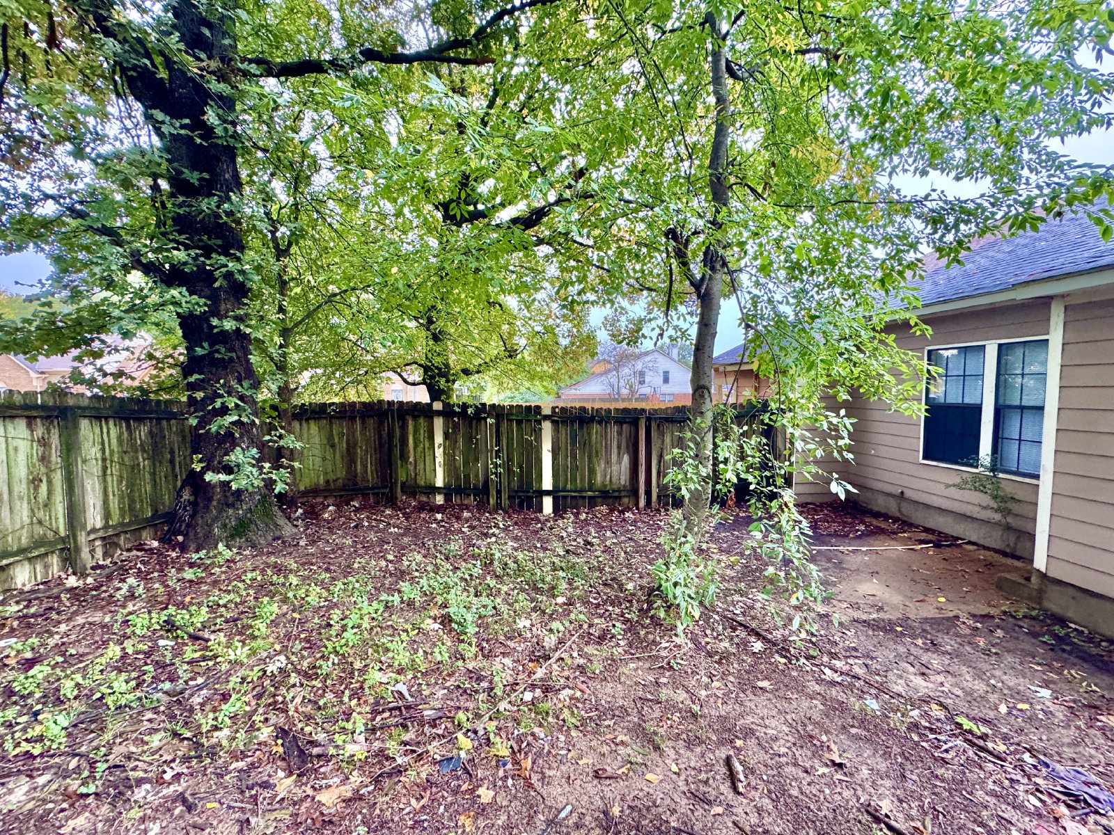 5825 Plum Valley Drive Memphis, TN 38141 property image