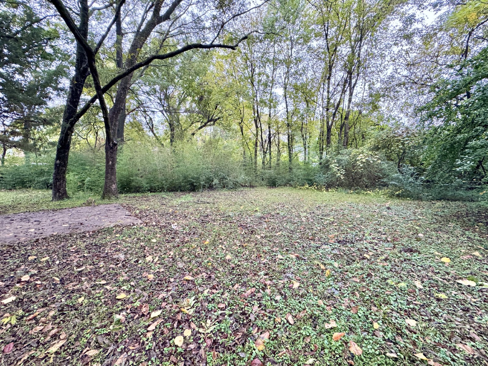 3449 Hallbrook Street Memphis, TN 38127 property image