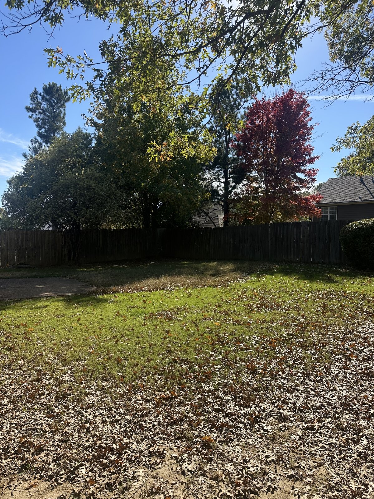 5379 Evening Mist Drive Arlington, TN 38002 property image