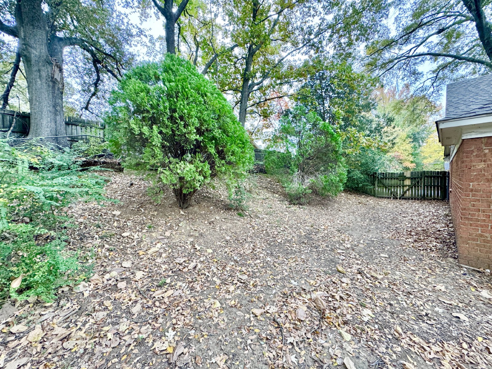 5334 Craigmont Drive Memphis, TN 38134 property image